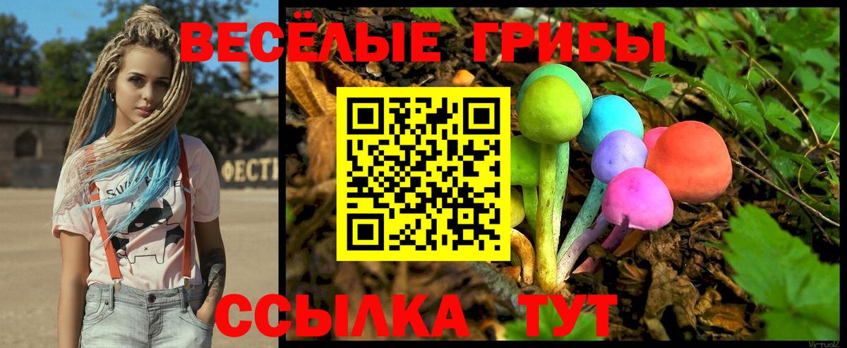наркошоп  Псилоцибиновые грибы ЛСД  Вход с VPN  Партизанск 